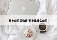 鼎丰公司区块链[鼎丰是什么公司]